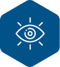 Vision icon